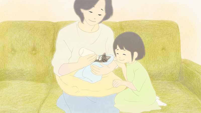 ももちゃんのねこ／Momo and Her Cat