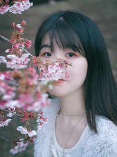 ゲスト