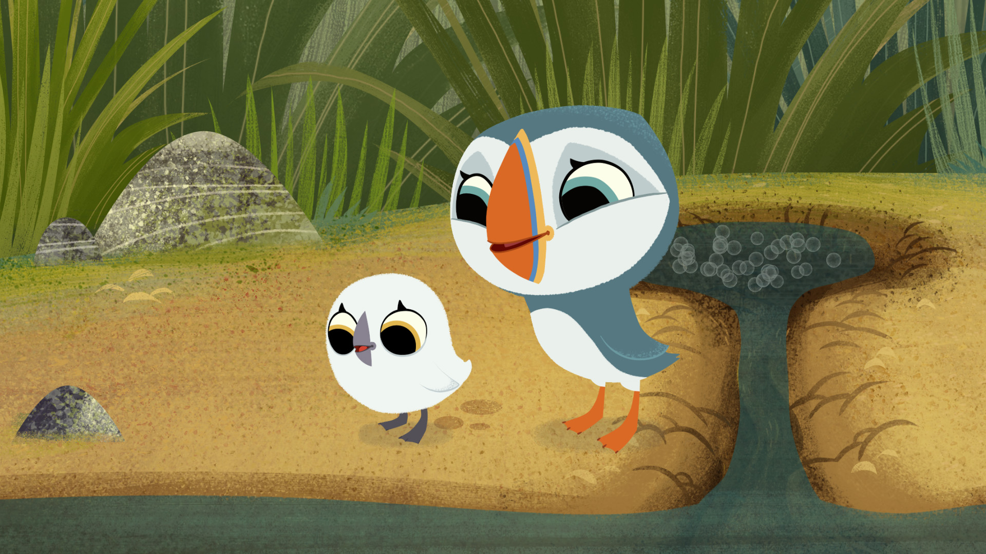 Puffin Rock